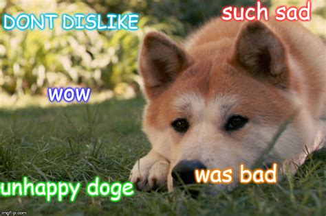 sad doge :[ - Imgflip