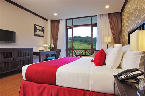 Deluxe Mountain View Room