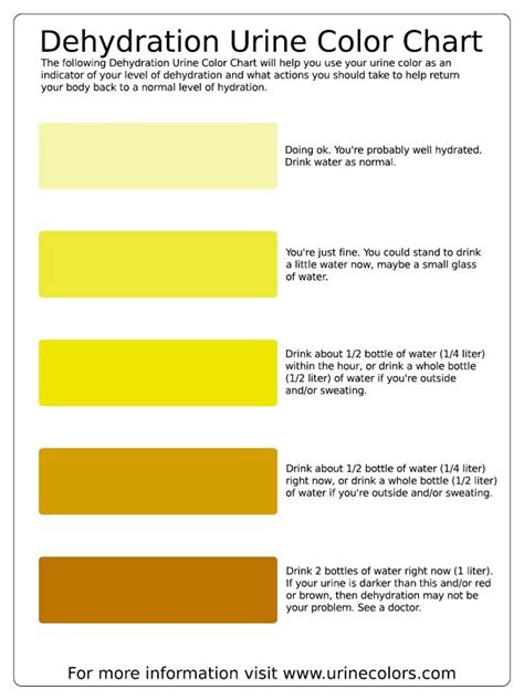 this urine color chart explains how to read your pee bulletproof - hydration chart learn to read ...