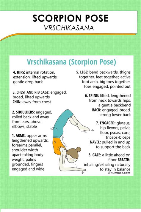 Scorpion Pose Yoga (Vrschikasana) | Yoga Sequences, Benefits, Variations, and Sanskrit ...