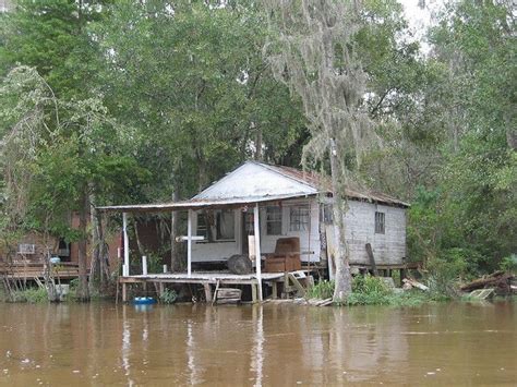 Cajun Swamp House | Bayou house, Louisiana swamp, Swamp