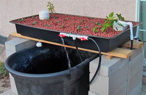 13 DIY Aquaponics Systems to Suit Any Budget