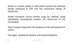 kinesin and dynein.pptx