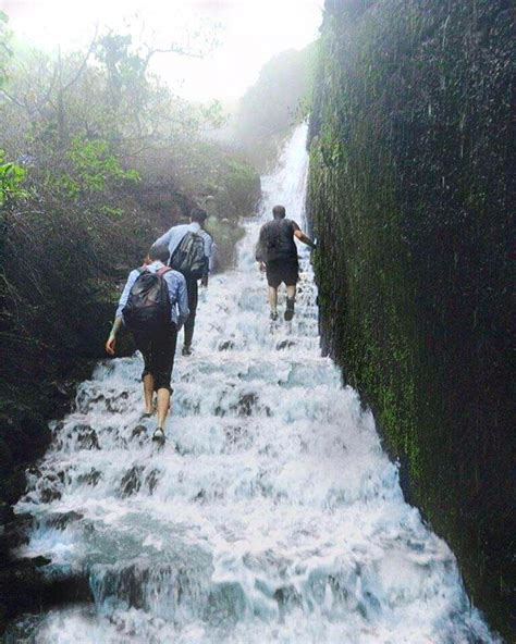 Visapur Fort Waterfall - Tripopola