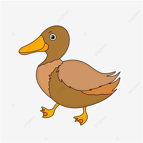 Mão Desenhos Animados Desenhados Pato Marrom Clipart PNG , Pato, A Boca, Olho Imagem PNG e PSD ...