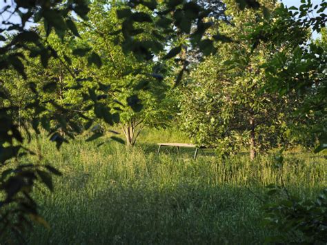 The Great Plains: Landscape Photographs