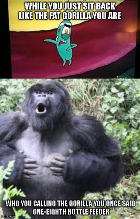 Gorilla Spongebob Meme Funny Memes Funny Memes | Images and Photos finder