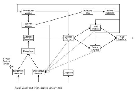 Cognitive architecture - Alchetron, The Free Social Encyclopedia