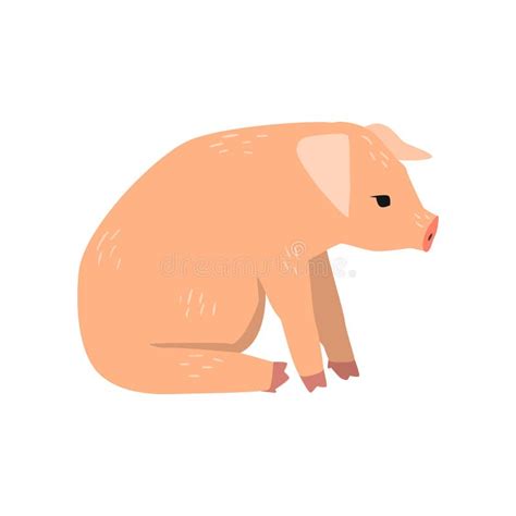 Little Funny Pig Sitting On The Floor, Side View Cartoon Vector Illustration On A White ...