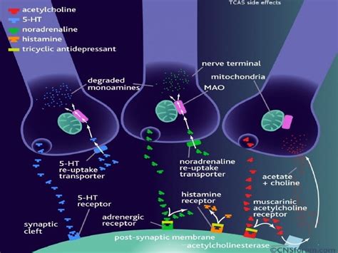 Antidepressants Tca Ssri