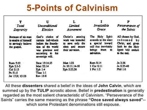 Tulip Doctrine Of Calvinism