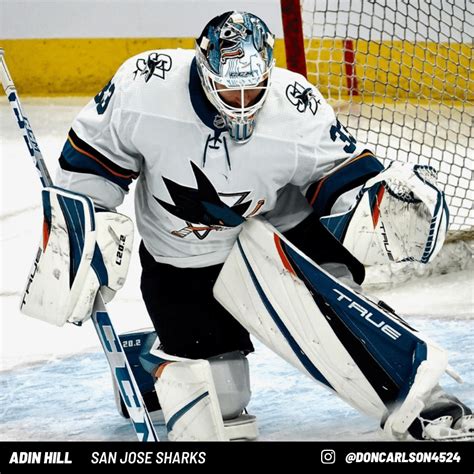 Adin Hill Goalie Pads and Gear | Goalie Coaches