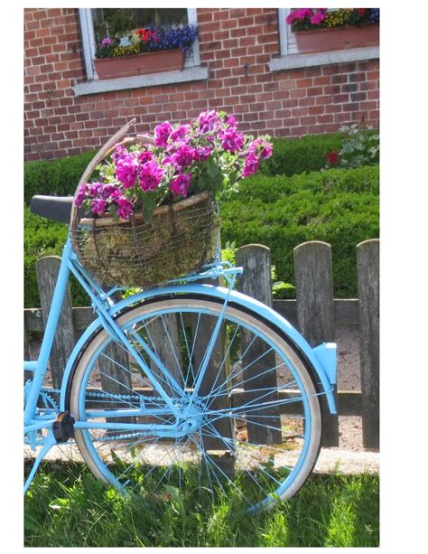 Why a bicycle in a garden looks so charming | Make it a Garden