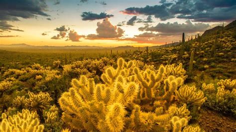 Decades Of Data Reveals If New Mexico's Climate Has changed | iHeart