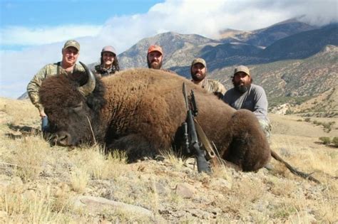 Henry mountain Bison - MonsterMuleys.com