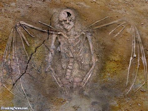 strange - Google Search | Strange, Ancient aliens, Human bird hybrid