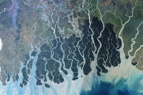 File:Sundarbans.jpg - Wikipedia