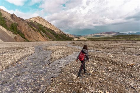 Off trail hiking, Denali National Park, Hiking and Camping, Alaska ...