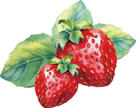 Strawberry Watercolor Images Free Photos Png Stickers Wallpapers | The Best Porn Website