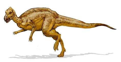 File:Zalmoxes dinosaur.png - Wikimedia Commons