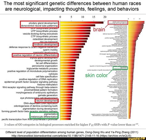 The most significant genetic differences between human races are ...