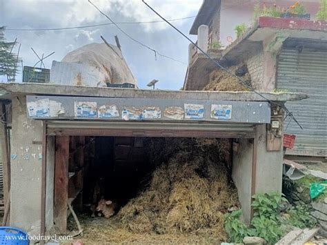 Chamunda Devi Temple Nashala Naggar - Trekking to Nashala Temple