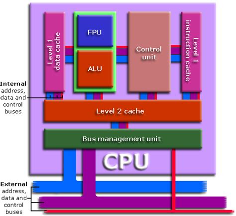 Central Processing Unit (CPU) | What, Definition & Summary