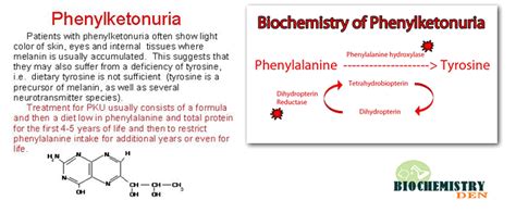 Phenylketonuria (PKU): What is PKU and its Treatment