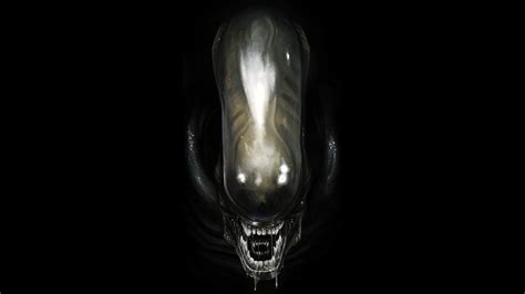 Alien 1979 Wallpapers - Top Free Alien 1979 Backgrounds - WallpaperAccess