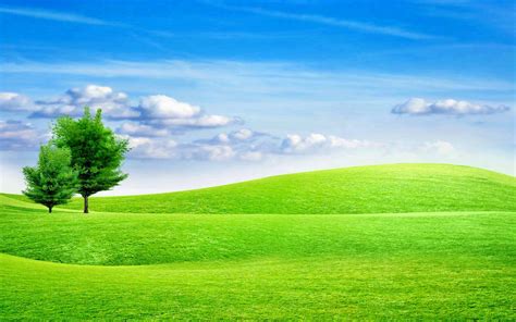 This Gambar Wallpaper Pohon Di Lapangan Rumput Alam - Meadow Background - 1920x1200 - Download ...