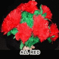 APPEARING FLOWER BOUQUET - 6 DELUXE FEATHER FLOWERS: Magic Tricks