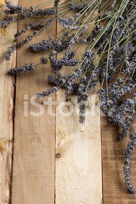 Lavender On Rustic Wooden Background Stock Photo | Royalty-Free | FreeImages