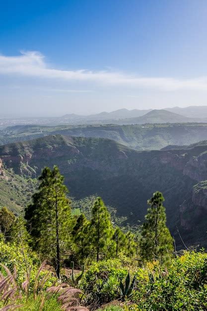 Premium Photo | Caldera de bandama volcano crater las palmas