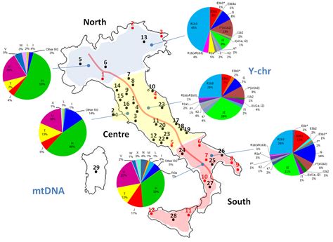 For what they were... we are: Italian haploid genetics (second round)