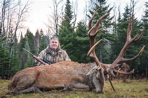 Red Stag Hunting Maine | Grove Hill Outfitters, Brownville, ME