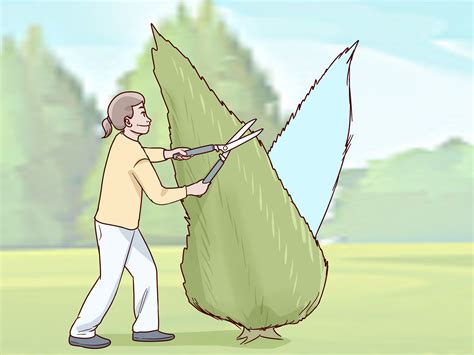 3 Ways to Prune Arborvitae - wikiHow Waterwise Garden, Tree Pruning, Yard Waste, Arborvitae ...