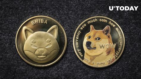 New Shiba Inu (SHIB) and Dogecoin (DOGE) Pairs Now Supported by This ...