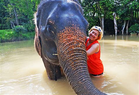 Phuket Elephant sanctuary Tour