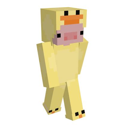 Duck aspectos de minecraft – Artofit