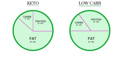 KETO AND LOW CARB BEGINNERS DIET GUIDE • Holistic Yum