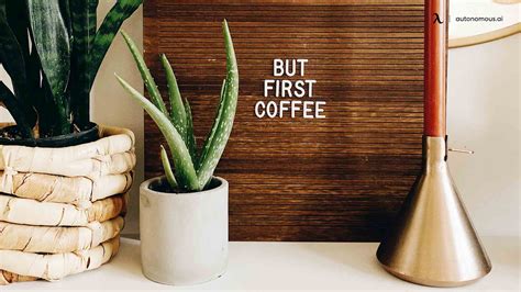 10 Best Office Desk Plants That Bring the Green to Workspace