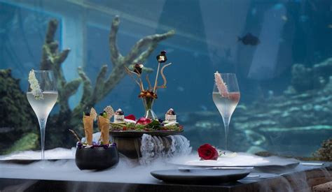 Housed inside an aquarium the Koral Restaurant in Bali is the most instagrammable restaurant in ...