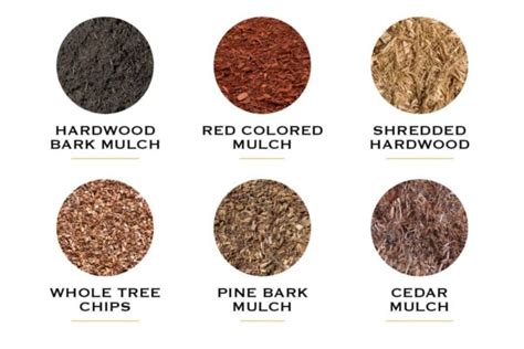 Premium Mulch: Your Complete Guide – Lumberjacks, Inc.