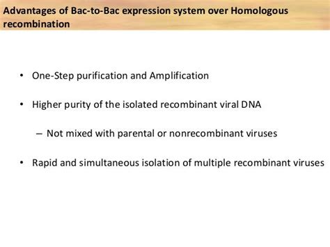 Baculovirus expression vector system