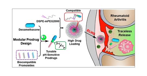 Modular Acid-Activatable Acetone-Based Ketal-Linked Nanomedicine by Dexamethasone Prodrugs for ...