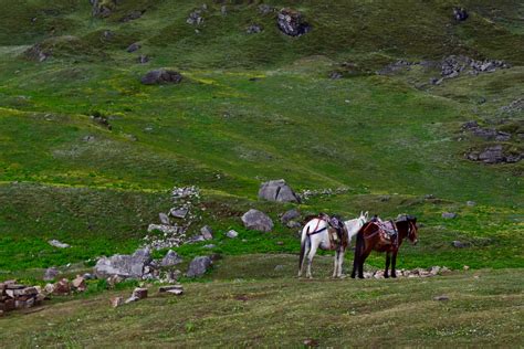 TREKKING IN UTTARAKHAND - THE PURE SOUL