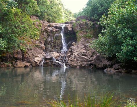 Bamboo Forest Huelo in Huelo, Maui, Hawaii | Hawaiian Beach Rentals