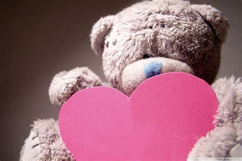 Valentines Day Teddy Bear HD desktop wallpaper Widescreen High resolution