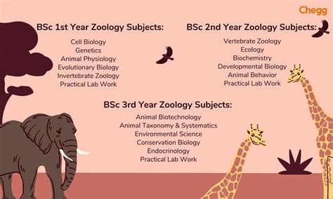 Exciting BSc Zoology: Best Career Options & Salary In 2025