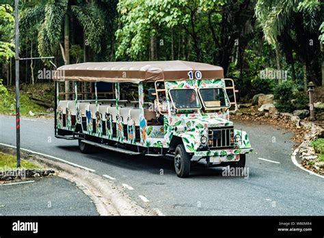 Pattaya, Thailand - May 28, 2019: Jungle safari at a zoo. Safari car in a zoo Stock Photo - Alamy